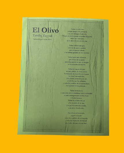El olivo