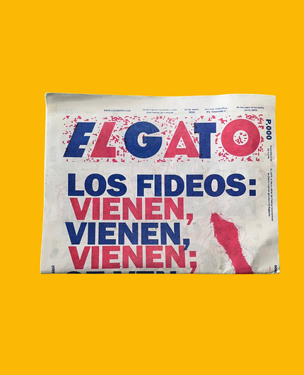 El gato.