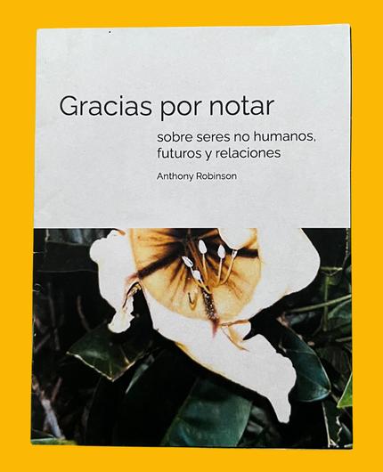 Gracias por notar